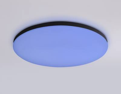 Потолочный светодиодный светильник с Wi-Fi Яндекс Алисой/Tuya/Smart Home/Alexa FZ2004 BK черный IP54 20W 3000K-6500K+RGB D300*55 (ПДУ ИК)