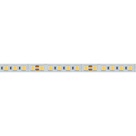 Светодиодная лента RT-B96-10mm 24V White6000 (23 W/m, IP20, 5060, 5m) (Arlight, Открытый)