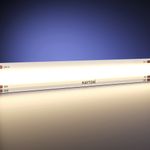 Светодиодная лента 24В COB 12Вт/м 3000K 5м IP 20 201254. TM Maytoni