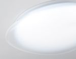 Светильник светодиодный потолочный FZ1601 FR матовый IP20 40W 5000K 410*100 (Без ПДУ)