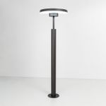 Citilux CLU03B1 LED Уличный парковый светильник поворотный Графит
