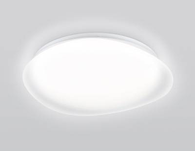 Светильник светодиодный RGB с пультом  FZ1610 FR матовый IP20 40W 3000-6500K+RGB 410*100 (ПДУ ИК)
