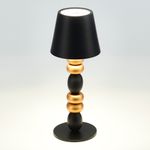 SL1011.414.01 Прикроватная лампа ST-Luce Черный, Золотистый/Черный LED 1*3W 3000-6000K