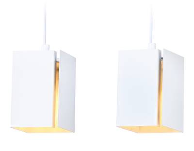 Светильник подвесной TN5131/2 WH белый E27/2 max 40W 260*80*1150