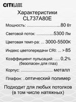 Citilux Триест Смарт CL737A080E RGB Умная люстра