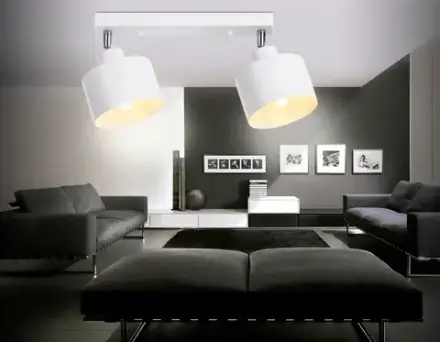 Настенно-потолочный спот в стиле лофт TR8141/2  WH белый E27*2 max 40W 340*120*180