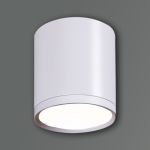 81050-9.5-001RT LED5W WT светильник точ. накладной