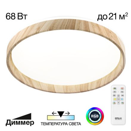 Citilux ENZO CL753452G LED RGB Светильник с пультом Клён