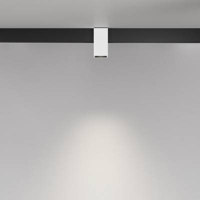 Трековый светильник Alfa Exility 2700-6000K 7Вт 50° Dim Smart, TR121-4-7W-DS-W. TM Maytoni