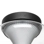 612017 Люстра PALERMO 8W LED 350LM G ЧЕРНЫЙ/ПРОЗРАЧНЫЙ 3000K Lightstar