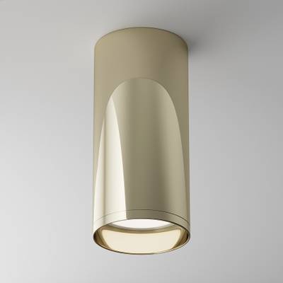 Потолочный светильник Focus GU10 1x50Вт C010CL-01G. TM Maytoni