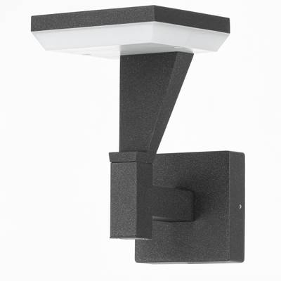 Citilux Krid CLU06W LED Уличный настенный светильник Графит