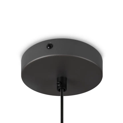Подвесной светильник Moth FR5392PL-01GR1, E27х1. TM Maytoni