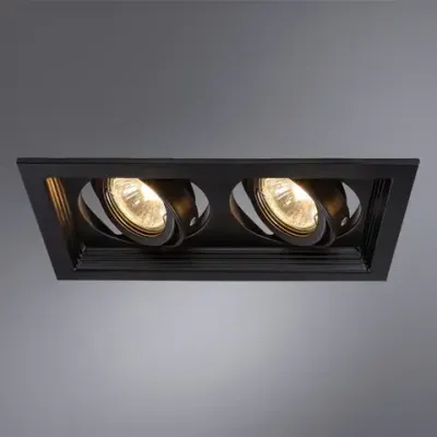 Точечный встраиваемый светильник Arte Lamp CANIS A6661PL-2BK, 2хGU10
