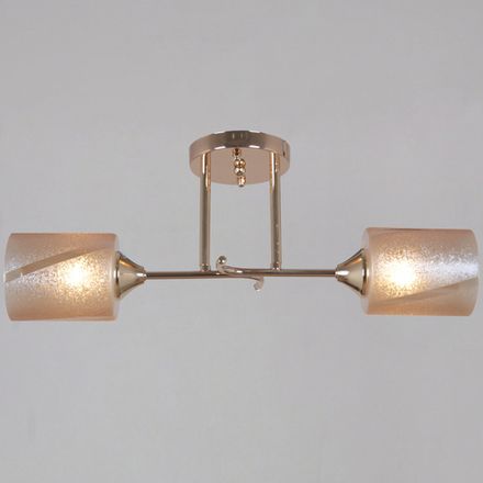 51460-0.3-02 FG светильник потолочный