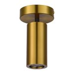 SL1215.402.01 Светильник потолочный ST-Luce Черный, Латунь/Латунь GU10 1*5W 4000K