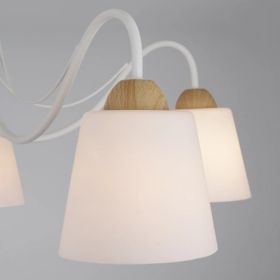 Потолочная люстра со стеклянными плафонами 70062/5 белый, E27х5