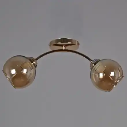01538-0.3-02 FGD светильник потолочный Reluce, E27х2