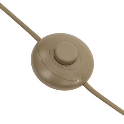 Citilux Garuda CL420933 Торшер Бронза