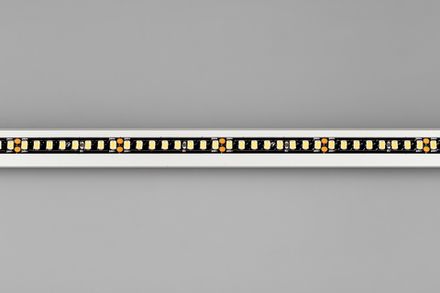 Светодиодная лента RT-5000-2835-160-24V Day4000 (Black 8mm, 12W/m, IP20) (Arlight, -)