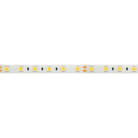 Лента RTW 2-5000SE 24V Green 2x (5060, 300 LED, LUX) (Arlight, 14.4 Вт/м, IP65)