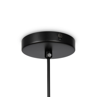 Подвесной светильник Eleon FR5218PL-01B1, E27х1. TM Maytoni