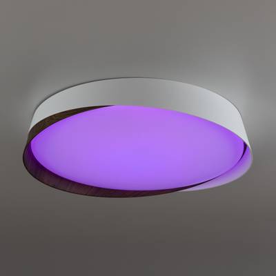 Citilux BONNY CL754350G LED RGB Светильник с пультом Белый+Венге