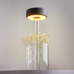 Аккумуляторный светильник AI Collaboration 2200-4000К 3Вт, MOD229TL-L3B3K1. TM Maytoni