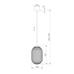 Подвесной светильник 50261/1 прозрачный, E27х1