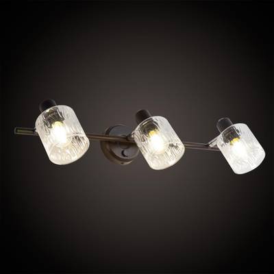 Citilux Артик CL510535 Спот поворотный с выключателем Венге