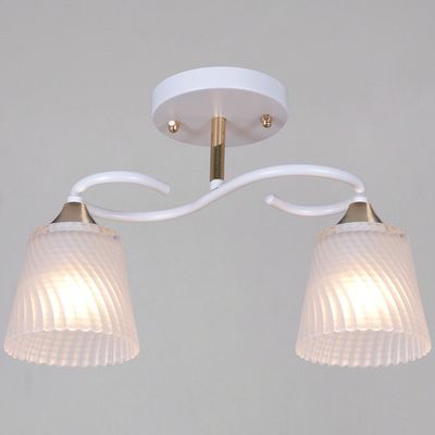 06360-0.3-02 WH+FG светильник потолочный