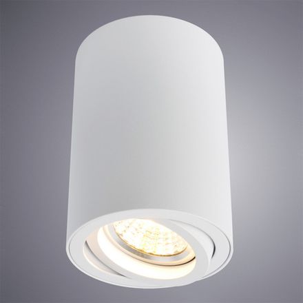 Точечный накладной светильник Arte Lamp SENTRY A1560PL-1WH, 1хGU10