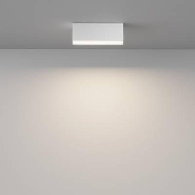 Потолочный светильник Basis 3000K-6000K 12Вт 120° IP 20, C068CL-12W3-6K-W. TM Maytoni