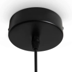 Подвесной светильник Swim FR6187PL-L9SM, LED. TM Maytoni