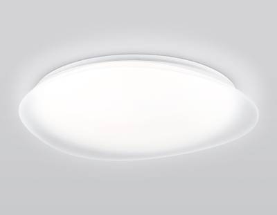 Светильник светодиодный RGB с пультом  FZ1615 FR матовый IP20 60W 3000-6500K+RGB 510*100 (ПДУ ИК)