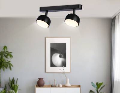 Светильник накладной TN71012/2 BK черный GX53/2 max 12W 260*80*90