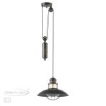 4164/1A NATURE ODL19 745 коричневый/прозрачный Подвес IP23 E27 1*60W DANTE