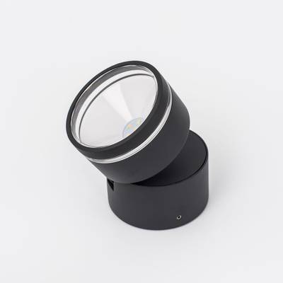 Citilux CLU0008R LED Уличный светильник поворотный Графит