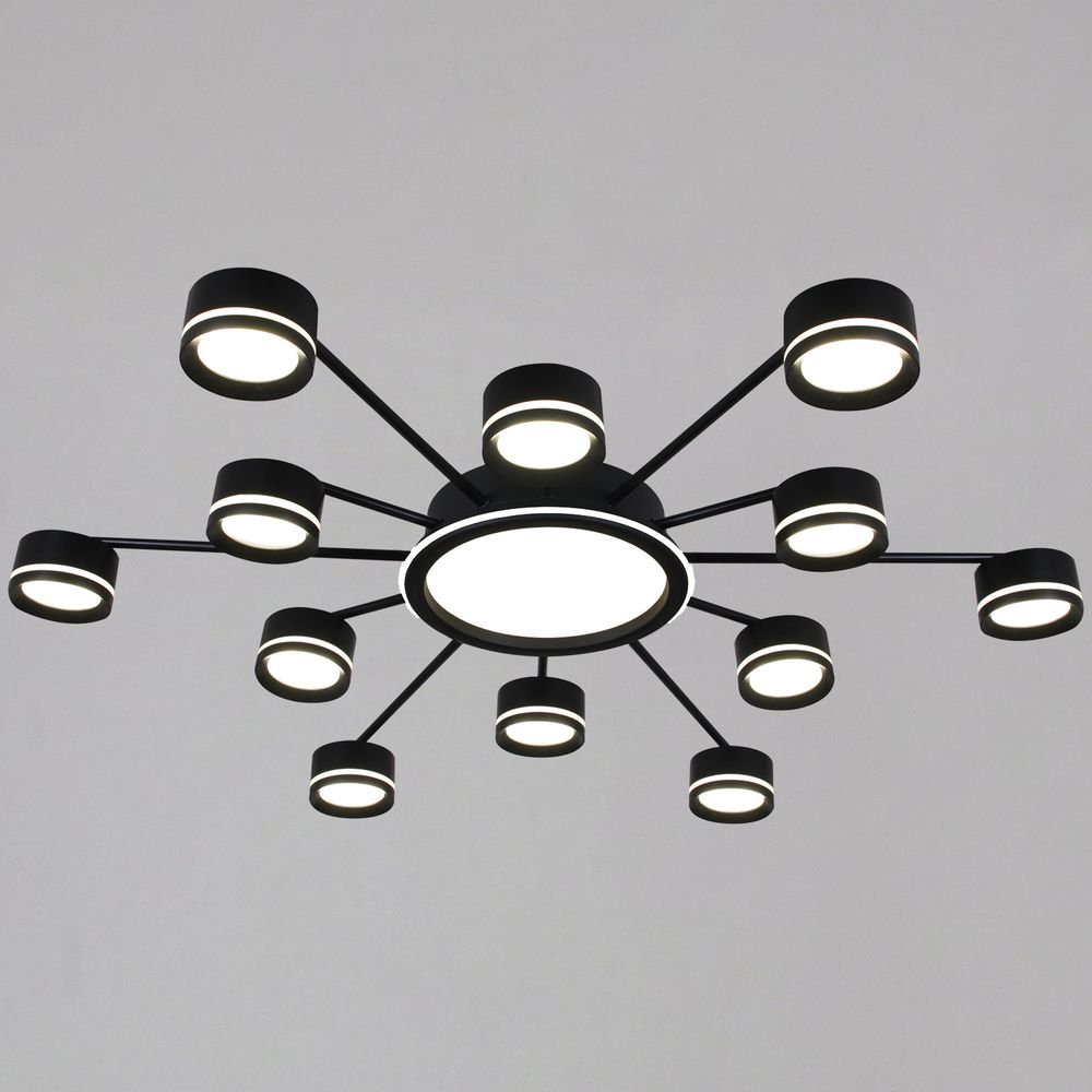 20590-0.3-6+6+1 Black светильник потолочный