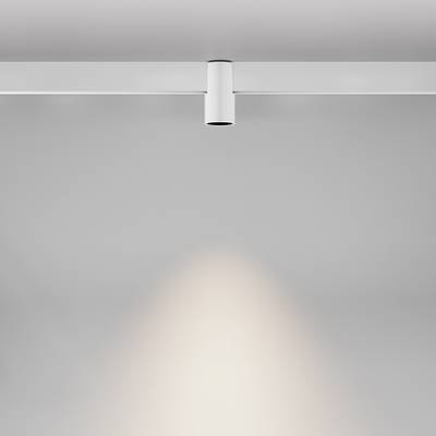 Трековый светильник Alfa Exility 2700-6000K 7Вт 50° Dim Smart, TR122-4-7W-DS-W. TM Maytoni