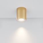 Потолочный светильник Spark GU10х1, C094-GU10-MG. TM Maytoni