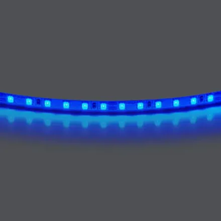 420515 Лента LIGHTSTAR LED 24V 12W 120leds/M 1600 LM/M blue IP20 1шт = 5м Lightstar