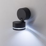 Citilux CLU0008R LED Уличный светильник поворотный Графит