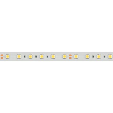 Светодиодная лента герметичная RTW-PFS-B60-13mm 24V Day5000 (14.4 W/m, IP68, 5060, 5m) (Arlight, 14.4 Вт/м, IP68)