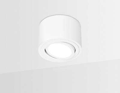 Накладной точечный светильник с врезным отверстием TN222 WH/S белый/песок GU5.3 D80*50