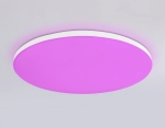 Потолочный светодиодный светильник с Wi-Fi Яндекс Алисой/Tuya/Smart Home/Alexa FZ2002 WH белый IP54 25W 3000K-6500K+RGB D370*55 (ПДУ ИК)