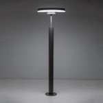 Citilux CLU03B1 LED Уличный парковый светильник поворотный Графит