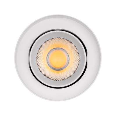 Светильник SP-FOCUS-R110-18W Day4000 (WH, 36 deg, 230V) (Arlight, IP54 Металл, 5 лет)