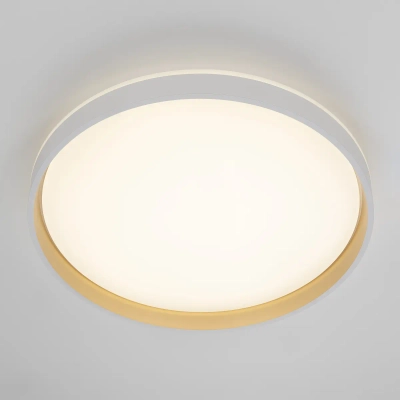 Citilux ENZO CL753510G LED RGB Светильник с пультом Белый + Золото