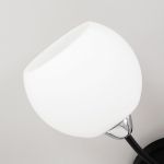 Citilux Флорида CL148165 Люстра потолочная Чёрная